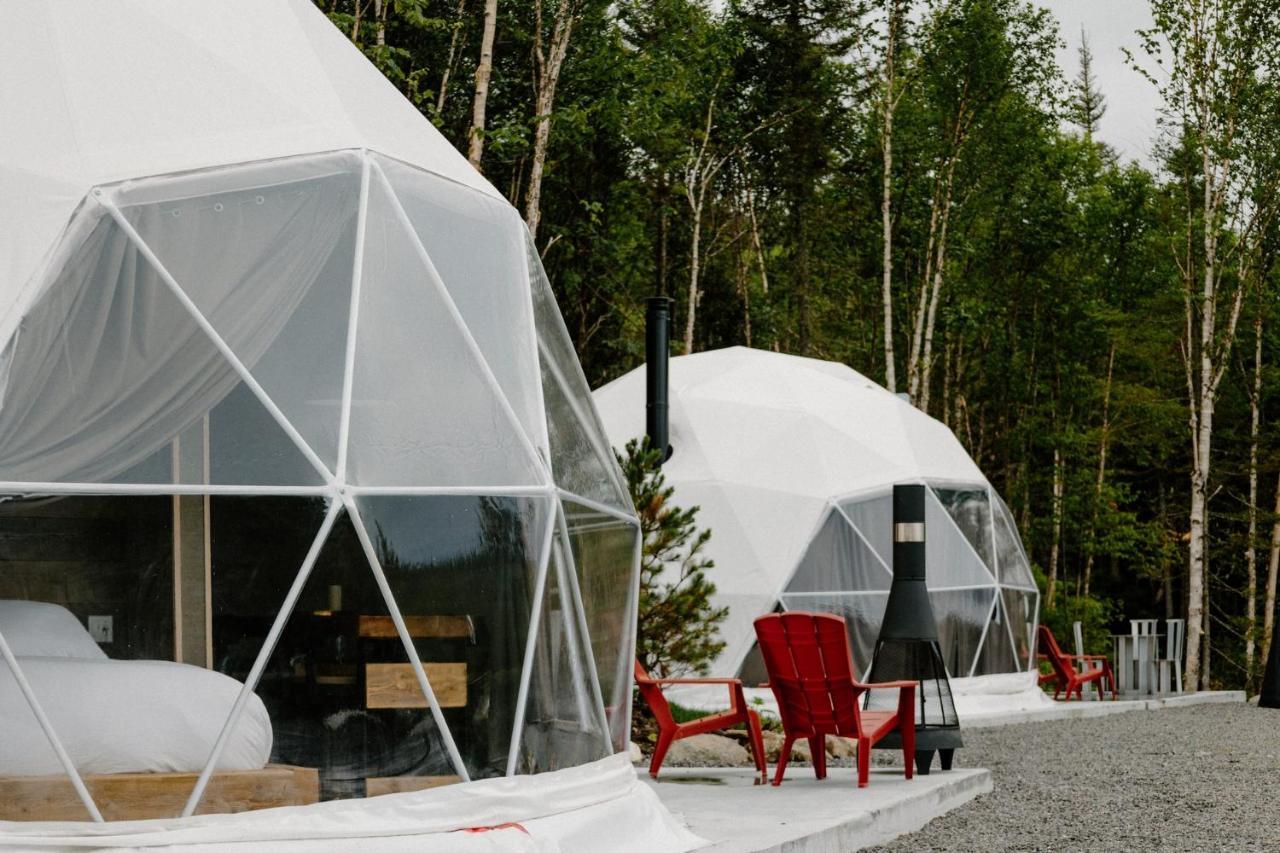 Les Diamants De L'Eternel Apartment Saint-David-de-Falardeau ภายนอก รูปภาพ
