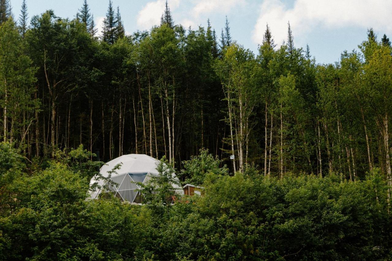 Les Diamants De L'Eternel Apartment Saint-David-de-Falardeau ภายนอก รูปภาพ